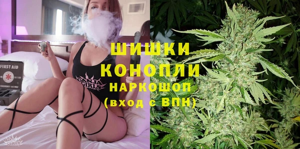 шишки Аркадак