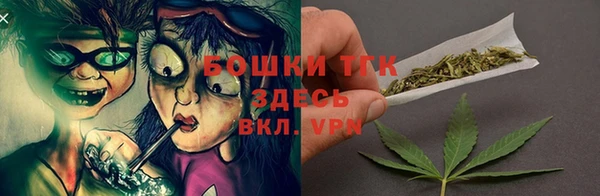 шишки Аркадак