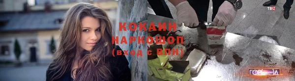 шишки Аркадак
