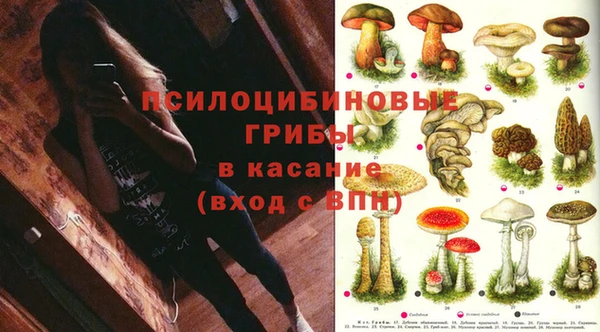 ECSTASY Армянск