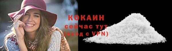 шишки Аркадак