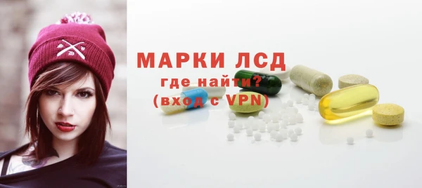 шишки Аркадак