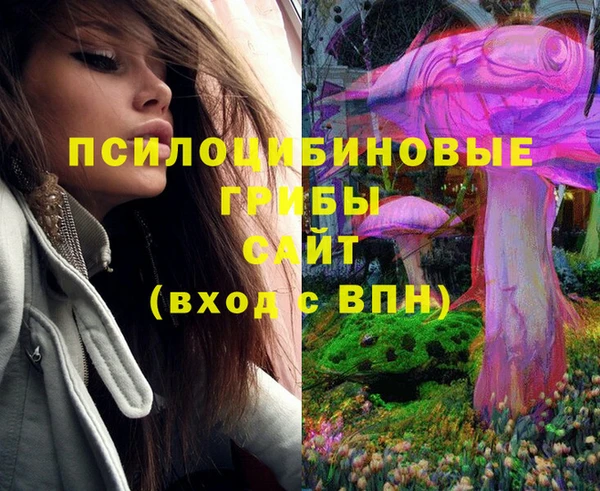 шишки Аркадак