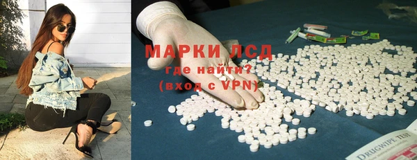 шишки Аркадак