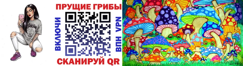 Псилоцибиновые грибы мухоморы даркнет официальный сайт Гдов